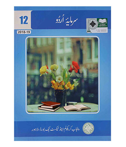 12 class urdu